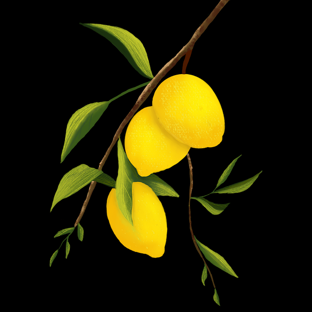 全方位解析91黑料隐私安全实战解析,技术流秘籍