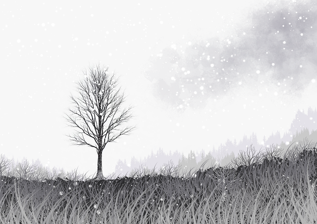 幕后揭秘专题：从反差大赛到直播回放的多维度剖析