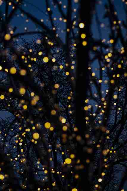 全面回顾揭秘：91大事件背后隐藏的隐私保护机制与最新热点内容秘籍